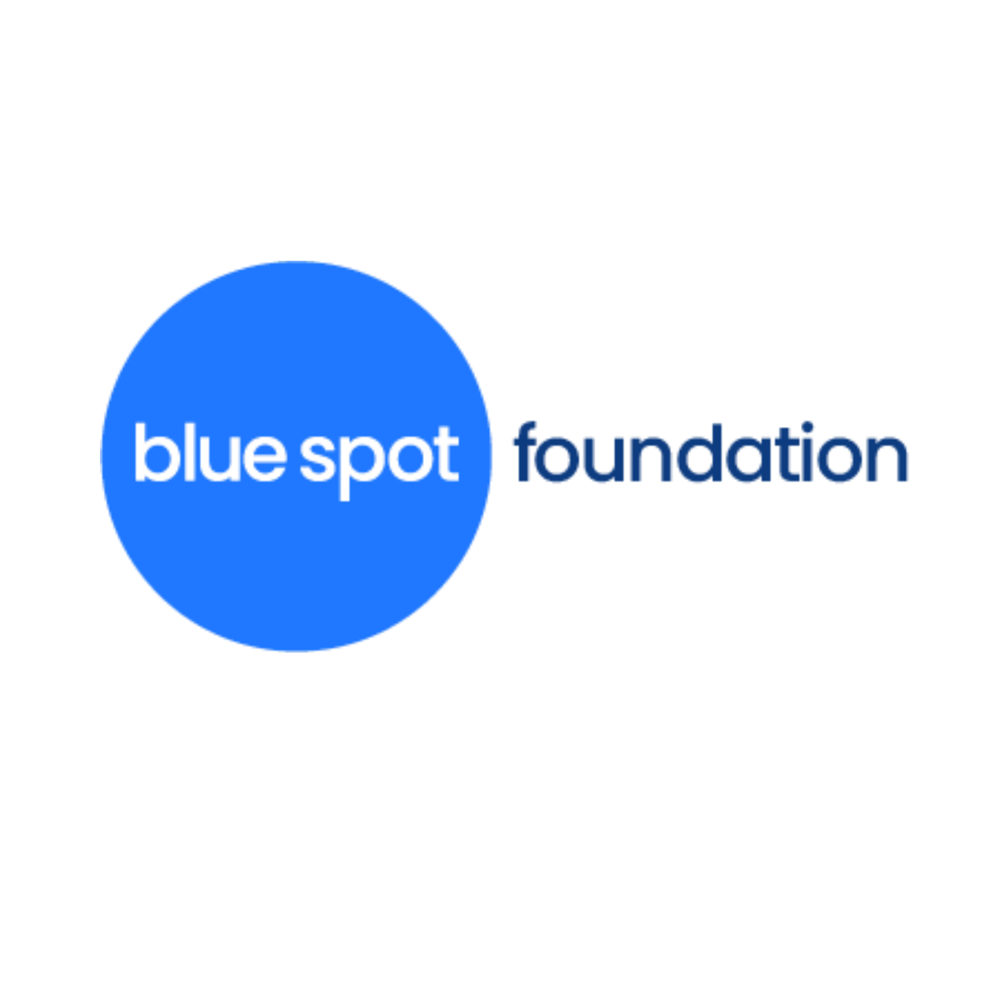 Blue Spot Foundation